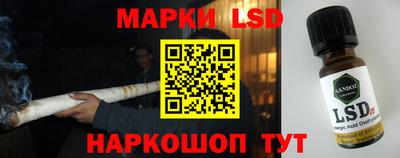 винт Партизанск