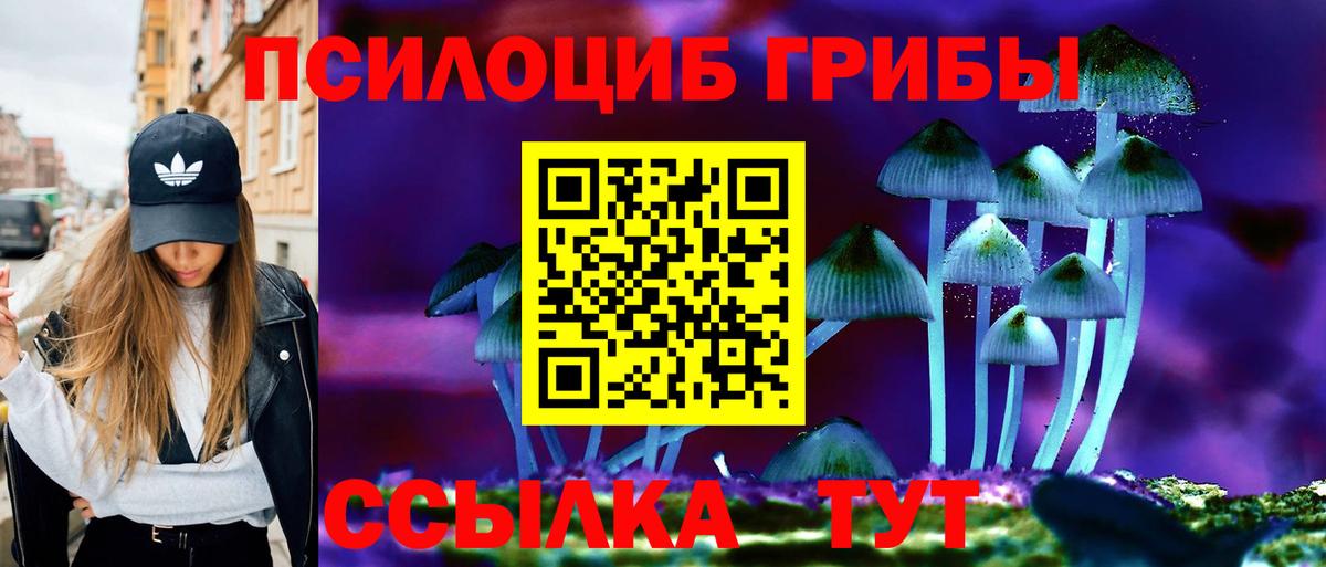 Галлюциногенные грибы мицелий  Вход с VPN  Солнечногорск  Галлюциногенные грибы прущие грибы 