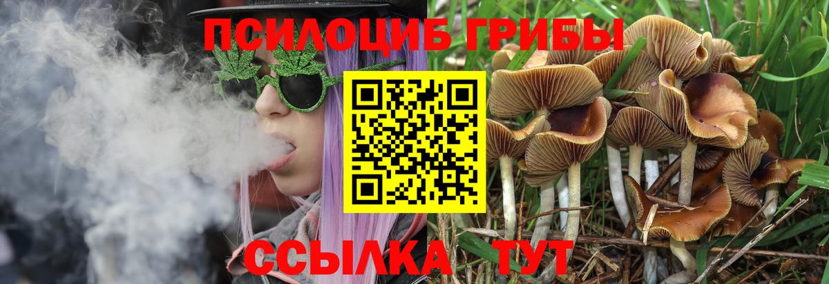 Псилоцибиновые грибы ЛСД Солнечногорск