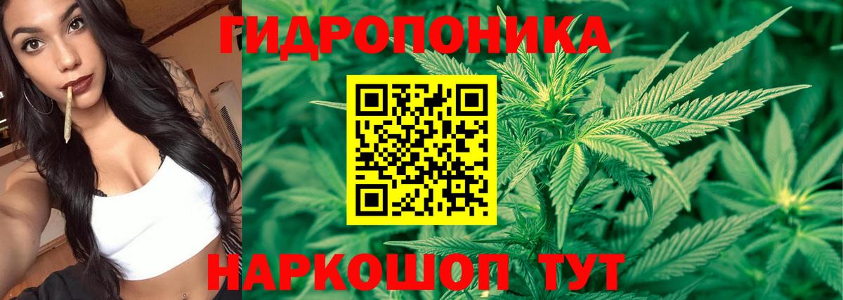 Канабис индика  Вход с VPN  Солнечногорск  Конопля планчик  Шишки марихуана индика 